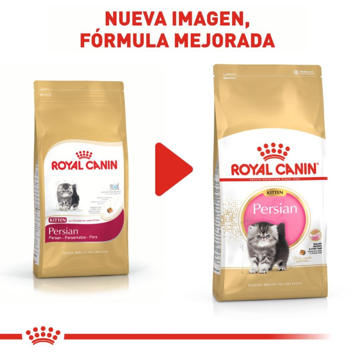 Royal Canin Persian Kitten 1.37 Kg - Alimento Para Gato Persa Royal Canin Persian Kitten 1.37 Kg - Alimento Para Gato Persa